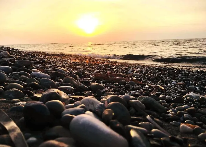 Villa The Citrus House