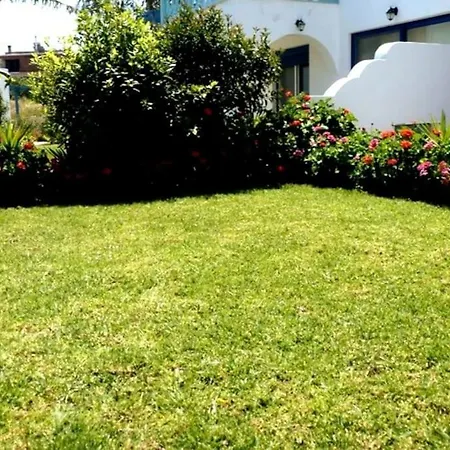 Villa The Citrus House Kalavarda