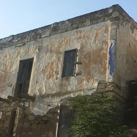 Villa The Citrus House *