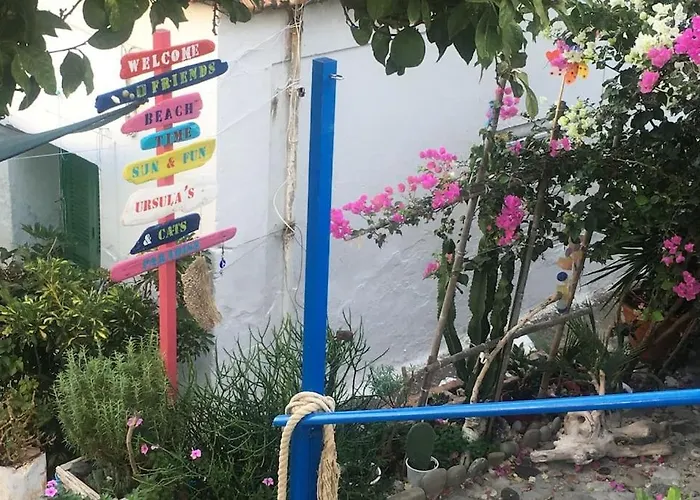 빌라 The Citrus House *