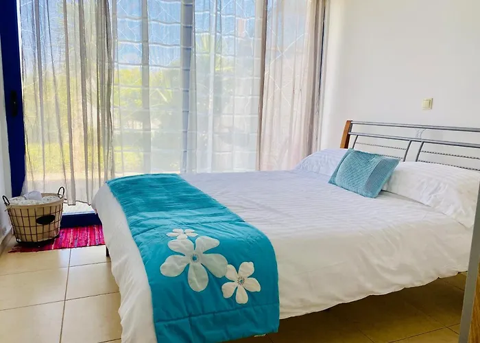 The Citrus House 别墅