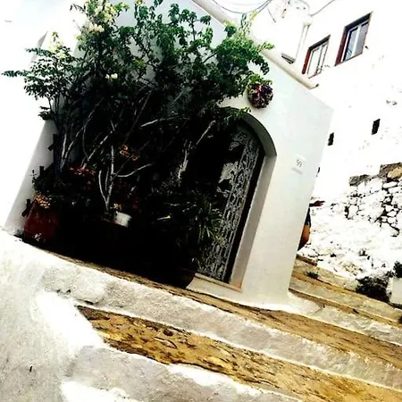 Villa The Citrus House