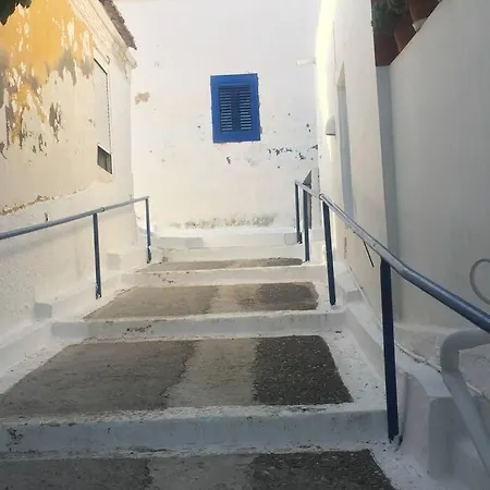 Villa The Citrus House