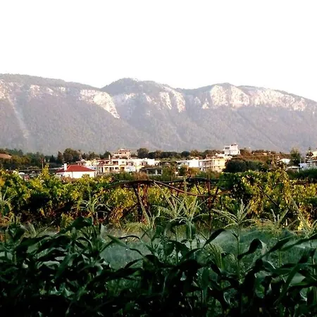 Villa The Citrus House Kalavárda