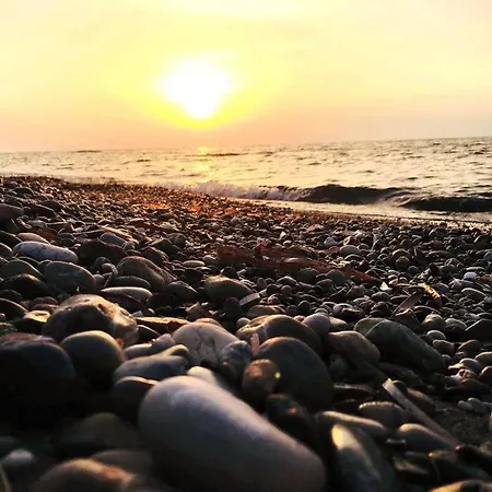 Villa The Citrus House