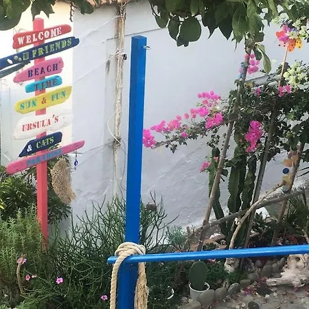 Villa The Citrus House *