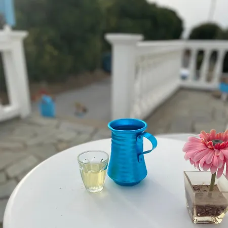 The Citrus House Villa