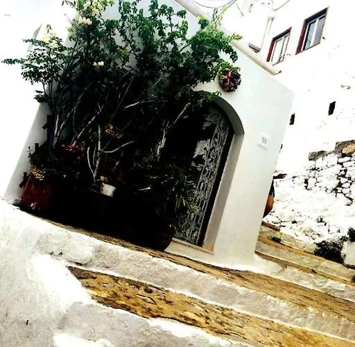 Villa The Citrus House