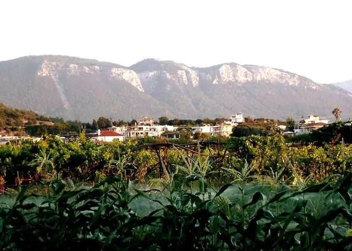 Villa The Citrus House Kalavárda