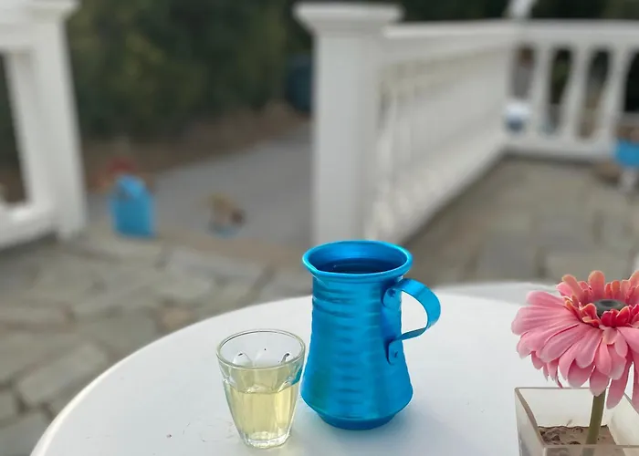 The Citrus House Villa